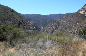 Malibu Canyon on the way back from Malibu Beach