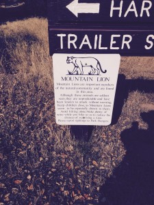 Warning sign at trail head near lake cachuma