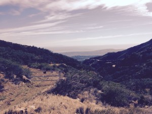 Canyon view from road on mountain ridge near Santa barbara