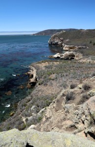 View North Along Avila Beach Shore