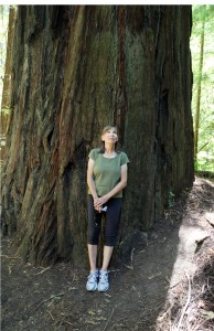 Joan Looking Up at Redwoods