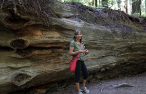 Joan and Fallen Redwood Small