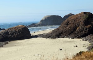 Oregon Coastline at Beach Level Small