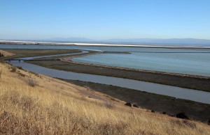 Sloughs on San Francisco Bay Hike Small