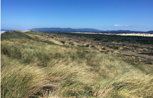 Top of Dune at Oregon Dunes National Park Small