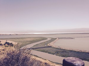 Sloughs at Don Edwards San Francisco Bay national Wildlife Refuge. Southern most part of SF bay