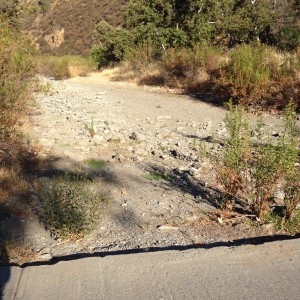 Typical CA riverbed - dry! This one at Del Valle campground