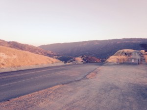 Road leading into Lake Del Valle campground. That's a steer in hiking trail on right... Besides warnings for mountain lions & rattlesnakes, 'steer' have been added to list