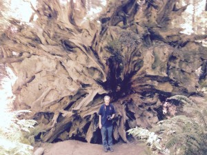 Steve standing in front of toppled over redwood tree root. Immense!