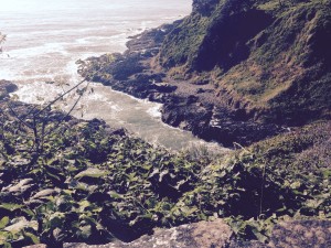 Devil's Churn. Lava Lined Inlet Where The Waves Churn and Bang Into the Lava Walls