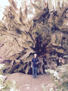 Steve Standing Next to Sequoia Root