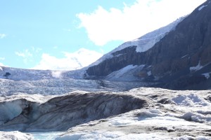 View Looking Up the Glacier Field From Glacier