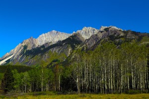 Along Icefield Parkway, Banff National Park and Jasper National Park