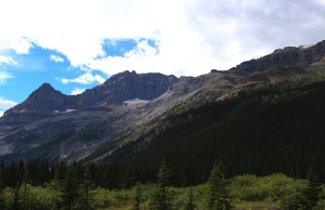 Along Icefield Parkway, Banff National Park and Jasper National Park