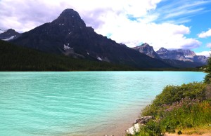 Along Icefield Parkway, Banff National Park and Jasper National Park