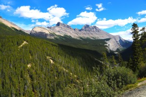 Along Icefield Parkway, Banff National Park and Jasper National Park