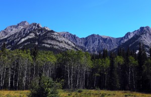 Along Icefield Parkway, Banff National Park and Jasper National Park