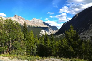 Along Icefield Parkway, Banff National Park and Jasper National Park