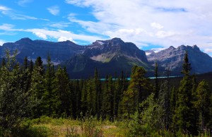 Along Icefield Parkway, Banff National Park and Jasper National Park