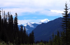 Along Icefield Parkway, Banff National Park and Jasper National Park