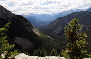 Simpson Point at Albert/British Columbia Border on the Continental Divide