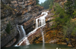 Waterfall in the Town of Waterton, Waterton National Park