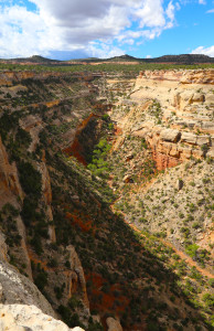 Colorado Monument Canyon