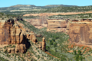 Colorado Monument Canyon