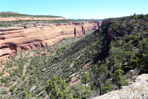 Colorado Monument Canyon