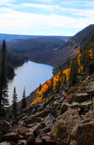 Fall Colors on Grand Mesa, Colorado