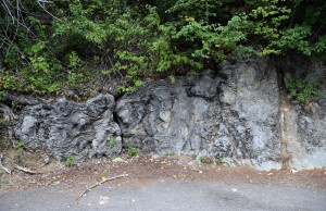 Fossils at Glacier Park