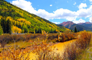 Fall Collors on the Million Dollar Highway, South of Ouray, Montana