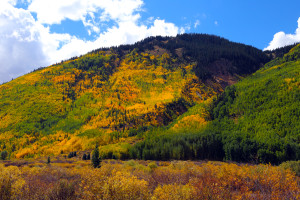 Fall Colors on the Million Dollar Highway, South of Ouray, Montana