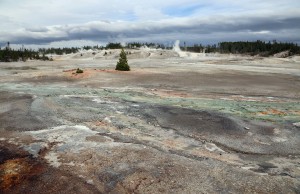 Norris Gyeser Basin, Yellowstone Park