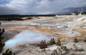 Open Area at Norris Basin, Yellowstone Park